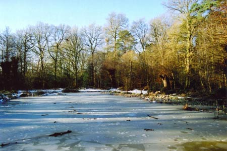 Grandad's walk - Ice on the Apostles' Pond