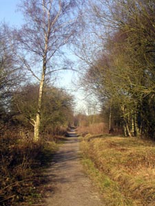 The Linby Trail follows a disused railway