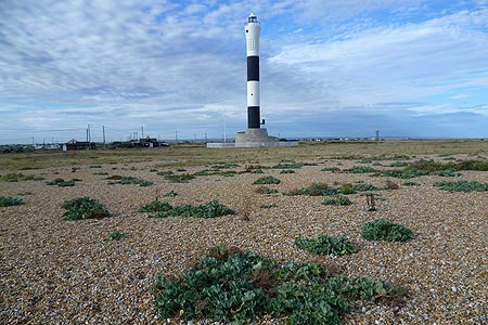 Photo from the walk - Dungeness & Romney Marsh