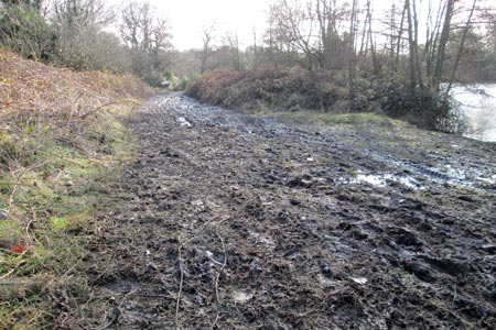 Muddy path near the Boating Lake at the Highams Park