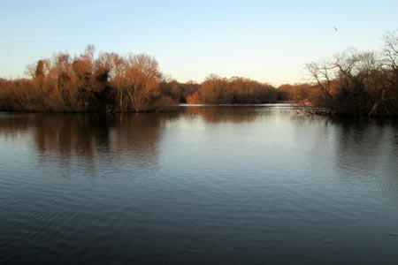 Connaught Water ? a ten acre pond in Epping Forest, Essex
