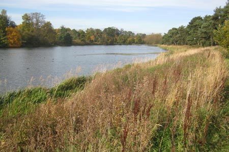 Thornton Reservoir
