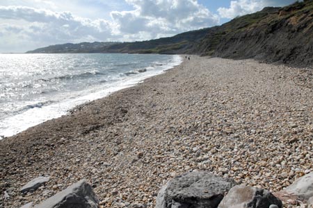 The view along the beach from Charmouth to Lyme Regis
