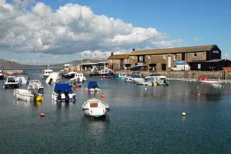 The harbour at Lyme Regis
