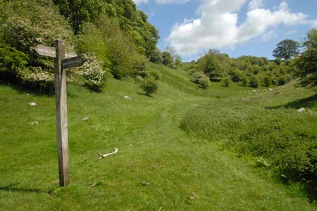 The upper section of Biggin Dale is grassy
