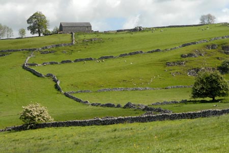 Typical limestone country on the approach to Hartington
