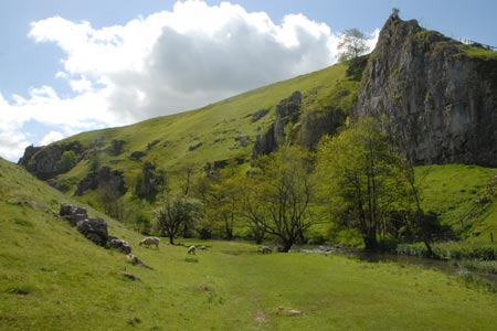 Drabber Tor, Wolfscote dale with the River Dove
