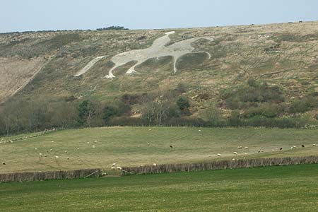 Photo from the walk - The White Horse & Sutton Poyntz from Osmington