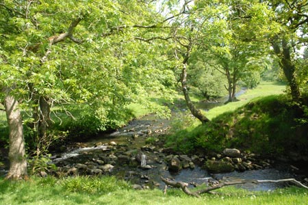 The River Dane near Gradbach
