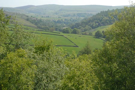 The Dane Valley from near Lud's Church
