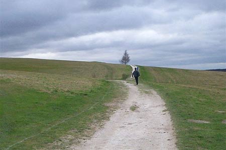 The route over the Pen Hills on Therfield Heath