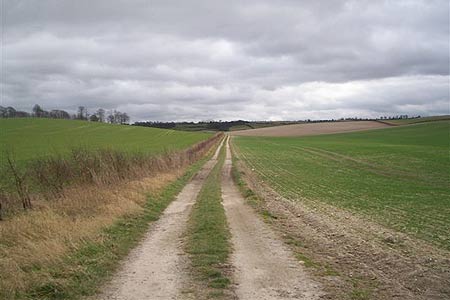 Track to Therfield through Hertfordshire countryside
