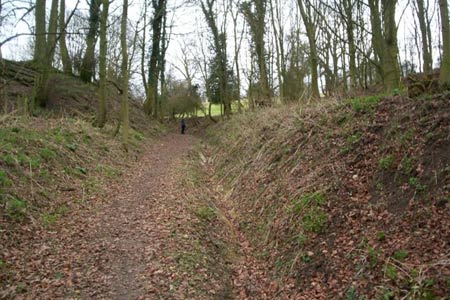 Narrow path on final approach to Therfield village