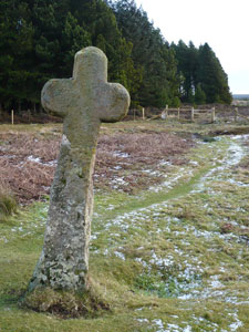 Malo Cross, Saltergate Moor