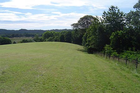 Hilly field on outskirts of Bodenham Arboretum
