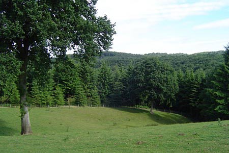 Rolling hills near Arboretum Lodge
