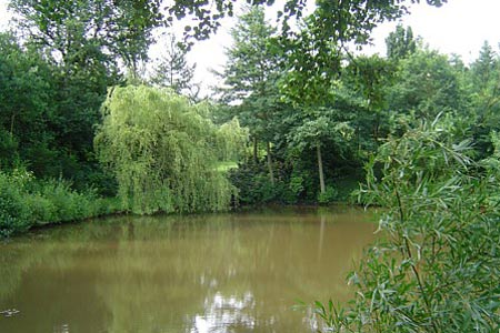 Bottom Pool, Bodenham Arboretum
