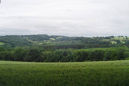 View West to Shropshire from Castle Hill Estate