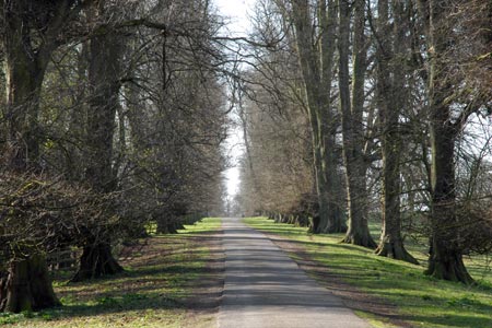The view down the main drive to Calke Abbey