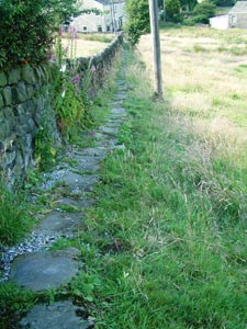 Ancient sidewalk at Glen View on Shield Hall Lane
