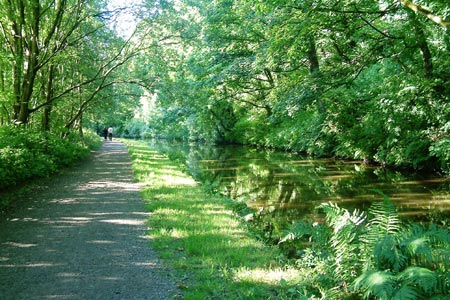 The Rochdale Canal from Ellen Holme Bridge
