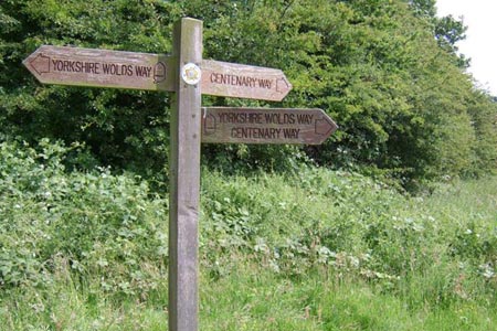 Yorkshire Wolds Way meets Centenary Way