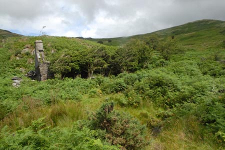 The derelict cottage at Nant-yr-eira
