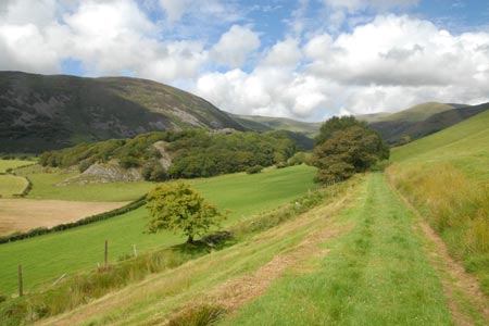 The path from Llanfihangel-y-pennant and Caerberllan
