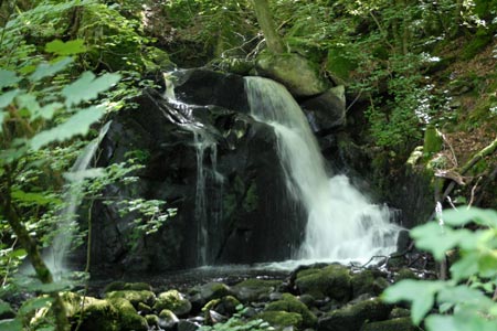 One of the many waterfalls in the wood above Arthog
