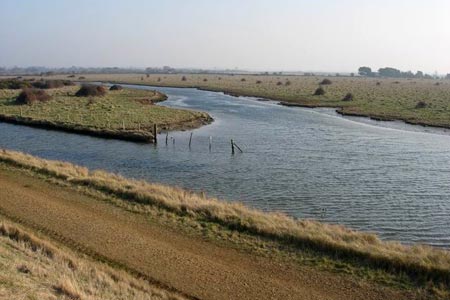 Photo from the walk - Thorney Island from Prinsted
