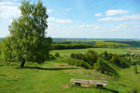 Photo from the walk - Telegraph Hill & Pegsdon from Hexton
