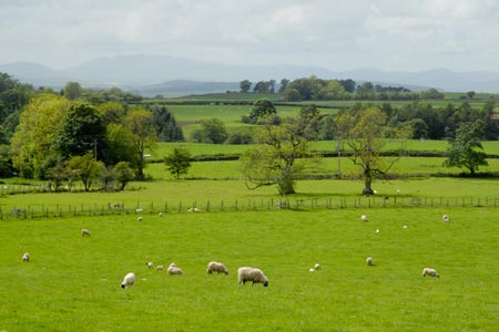 A pastoral scene near Dufton