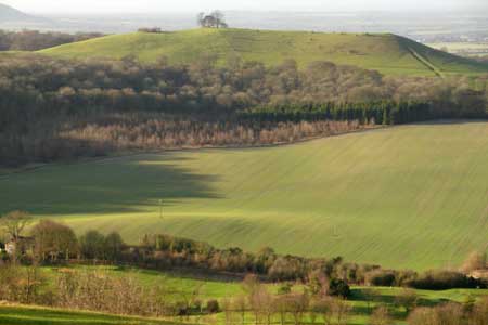 Beacon Hill from Coombe Hill