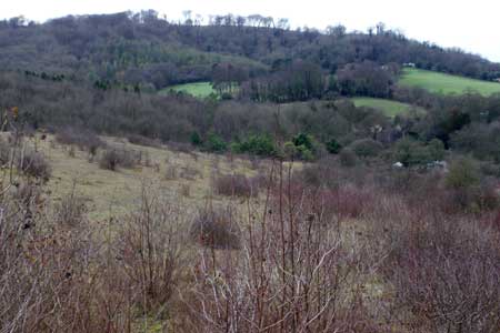 Whiteleaf Hill seen from the lower slopes of Pulpit Hill