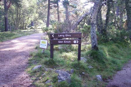 Path from Coylumbridge to Lairig Ghru