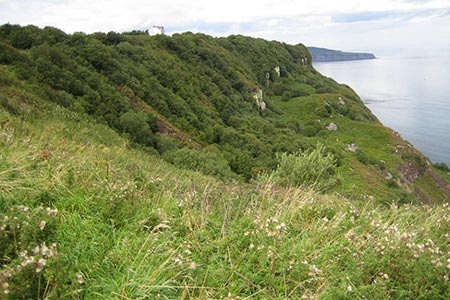 View long the coast from the Cleveland Way at Ravenscar