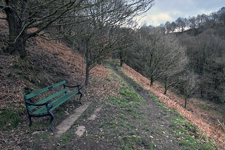 Convenient bench high above the Churnet Valley