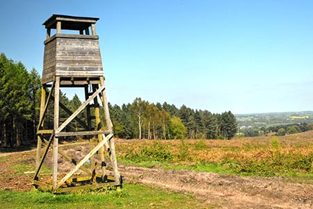 Disused fire look-out tower at Haywood Warren, Cannock Chase
