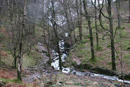 Tom Gill is the outlet stream from Tarn Hows