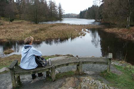 The path around Tarn Hows provides many opportunities for a rest
