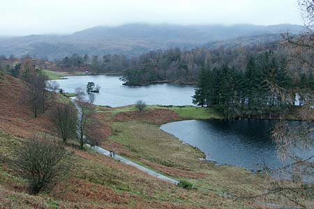 View south to Coniston Fells, Tarn Hows