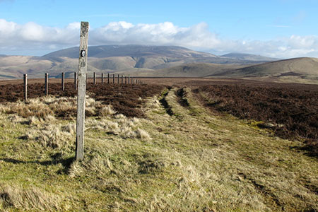 Photo from the walk - Mozie Law & Windy Gyle