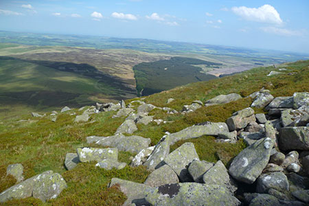 Photo from the walk - Comb Fell & Hedgehope Hill from Langleeford