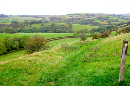 Offa's Dyke Path below Graig Hill