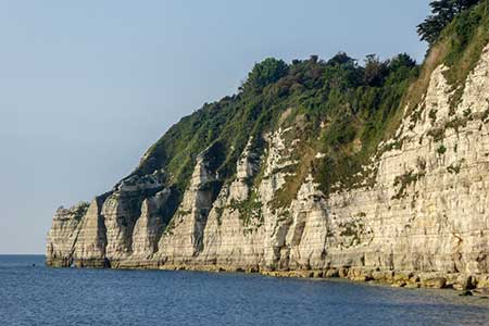 Cliffs at Beer, Devon