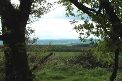 Looking west into Shropshire from Cannock Chase