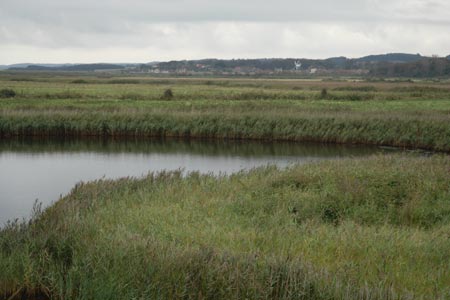 Looking across Fresh Marsh to Cley next the Sea
