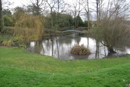 Pond at Manor Farm, Huish
