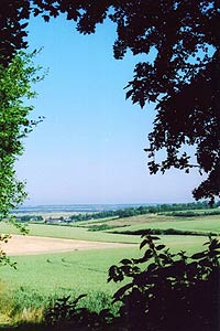 View over Cambridgeshire from Fox Cover