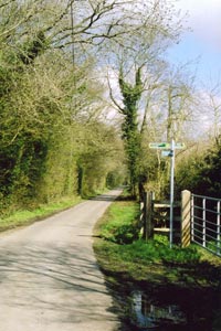 Holly Hedges Lane where the route crosses